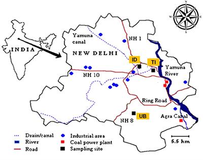 Carbonaceous aerosol variability and SOA formation during foggy days in Delhi, India